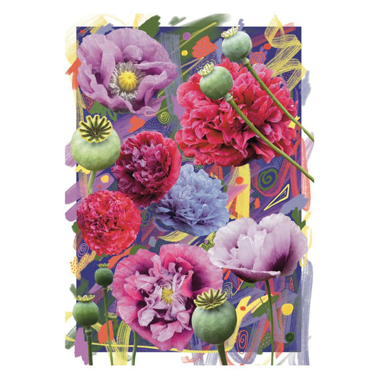 Colorful floral design with poppies and abstract illustration on a white background