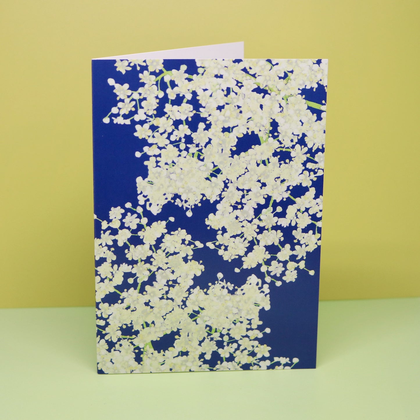 Card with white floral design on a blue background against a yellow background. New Zealand made illustrated greeting card with elderflower print