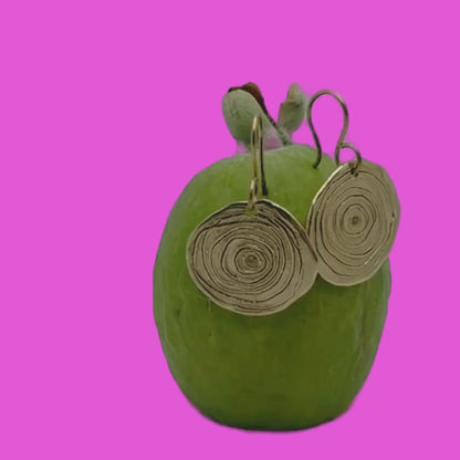 Spiral Bronze Earrings